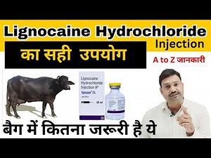 Lignocaine Injection Veterinary / Vet injection Xylocain 2% 👉🏻 Lox 2% 👉🏻 Lignocaine 2%
