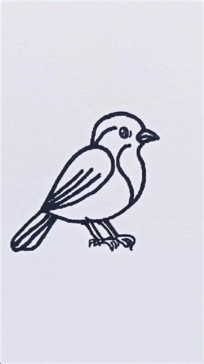 How to draw cute bird easy drawing #draw #art