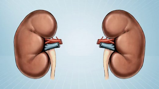 Creatinina (exame) | O que é, para que serve e valores altos