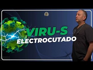 Biomagnetism Zapper 2 Edition: The Power of electricity to heal your body!