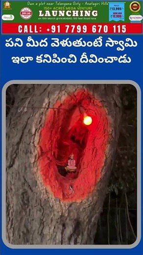 పని మీద వెళుతుంటే హనుమాన్ ఇలా కనిపించి దీవించాడు || Prime pages