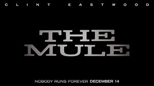 The Mule 2018 【Free STReaming】 FuLL English Sub