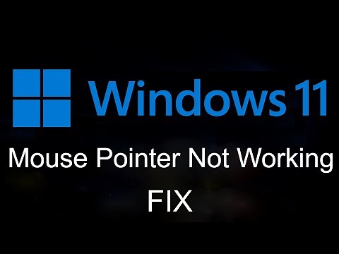 FIX : Mouse Pointer Not Working in Windows 11