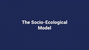 4.1.2 Socioecological model