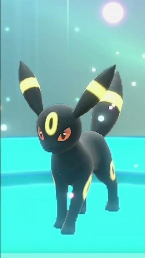 7 Star Charizard Raid!