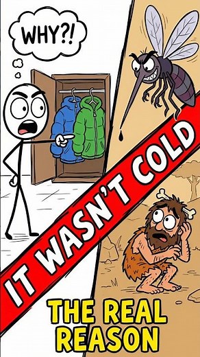 why humans began to wear clothes #humanbehavior