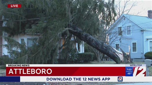 Tree falls on Attleboro home