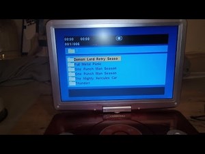 Ultimate format for portable DVD player and why.