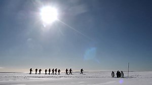 11K views · 24 reactions | Immerse yourself in the most magical moments from Le Commandant Charcot's recent odyssey deep into Antarctica, to the seldom-visited Ross Sea. | Ponant | Facebook