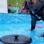 Solar Bird Bath Fountains Upgraded, 4W Solar Powered Water Fountain Pump with 4000 Battery, 7 Nozzles & 4 Fixers, Colorful LED Lights for Garden, Swimming Pool, Pond, Fish Tank and Outdoor