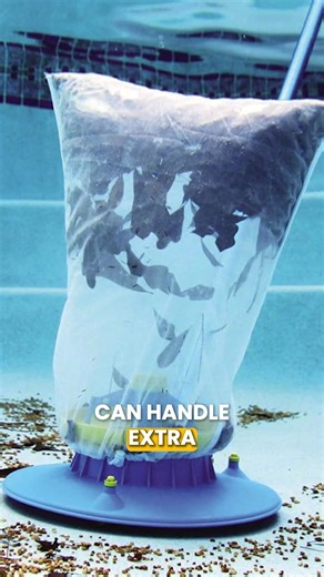 Keep Leaves Out of Your POOL (Do This) 🍂 | Swim University