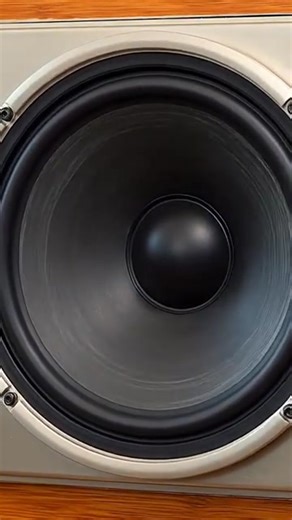 146K views · 4.7K reactions | Fading Echo (Short Version•Official Music Video) | Krasi Radeva | Facebook