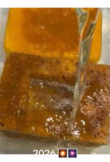 Exploring Lestoil for New Year's Cleaning