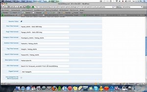 How to use AllinOne SEO plugin to fullest potential