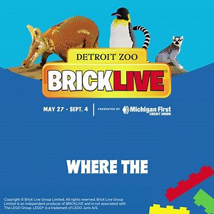 106K views · 608 reactions | Unleash your creativity at BRICKLIVE at the Detroit Zoo, presented by Michigan First Credit Union. | Detroit Zoo | Facebook