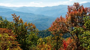 Fall colors in the Smokies: When to time your trip for optimal leaf peeping