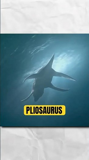 PLIOSAURO - LA GRANDEZZA DI PREDATOR X 🦈 #pliosaurus #predatorx #rettile