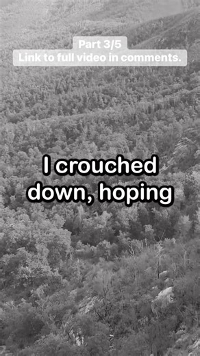 WHAT WERE THEY?! I know several #cryptids that mimic women wailing/human voices, but this description sounds absolutely terrifying- especially the finger part. #cryptid #skinwalker #fleshpedestrian #crocotta #fleshgait #creepy #scary #horror | Campfire Stories