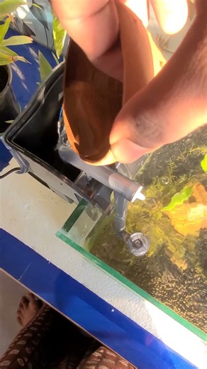 Planted Aquarium Hanging Filter Setup | Crystal Clear Water 🌿🐟---📝