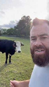 He’s Bad #cow #animals #farming #shortsfeed