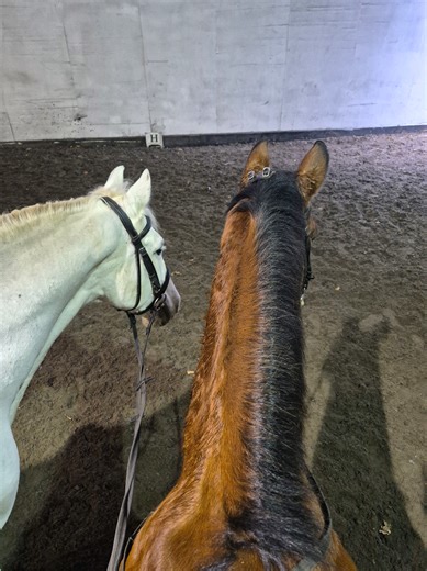 Navigating Instructor Roles in the Classroom