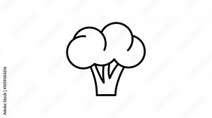 Broccoli animated line icon. Black color line icon animation. 4K video with transparent background
