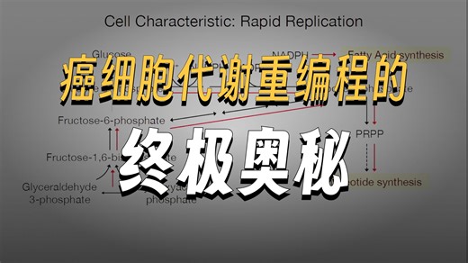 5.4.2 癌细胞的代谢重编程与生物合成通路调控