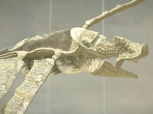 13th Colossus Shadow of the Colossus #gaming #ShadowoftheColossus | Varunyt