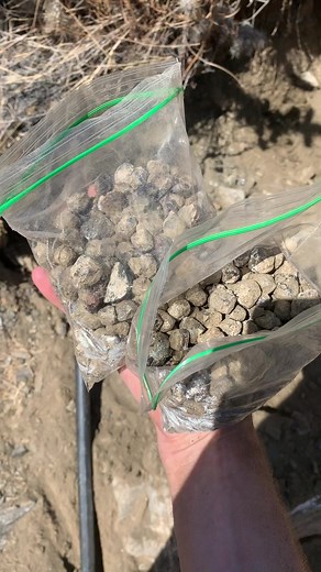 Digging California Garnets 🛑⛏ #garnet #geology #schist #california