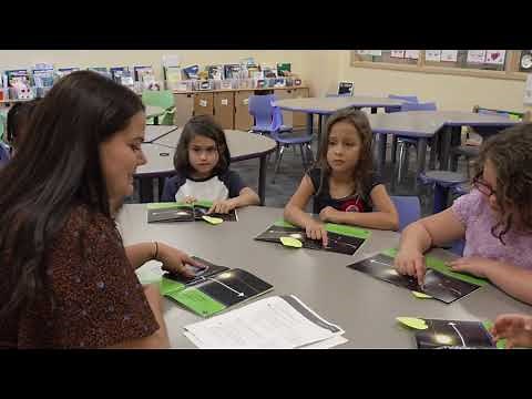 Being a Reader, Grade 2: Small-Group Reading, Set 9 (Earth; Gather information and discuss)