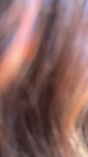 This Copper Red is giving all the cozy vibes right now ✨ Refreshed her color, revived that shine, and brought her back to a rich, dimensional red that’s perfect for this time of year. Healthy, glossy, and glowing — just how we love it. ❤️ #copper #RichRedColor #FallHairVibes #ShinyHairGoals #DimensionalColor #HealthyHairJourney #ModestoStylist #RedHairSeason #HairTransformation #SalonMagic #behindthechair #hairgoals #joico #redken #ruskcolor | Bella Studios & Company