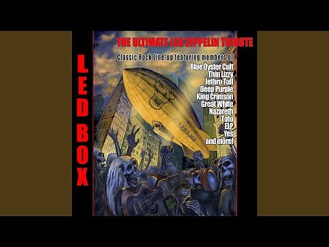 Black Dog (Instrumental Version)