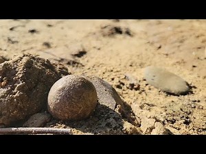 Arrowhead hunting the Ohio River 2023 .