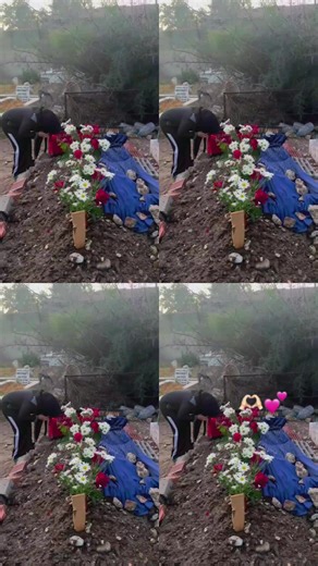 #ölümsüzdürözlümsüzkalacak #berivanim #melegim #adalet #berivanyilmazolumsuzdur