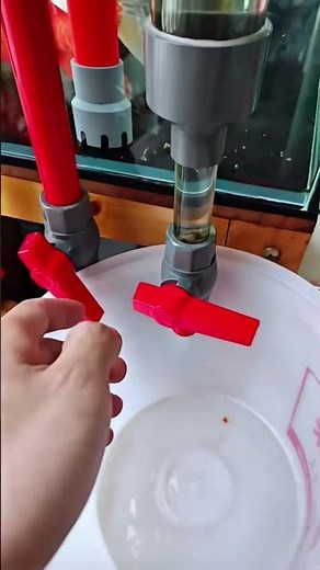 Fish Tank Cleaning 😁|| #botinformation #shorts ||