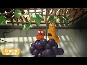 Grape | Animation Compilation | Larva Tuba | Official