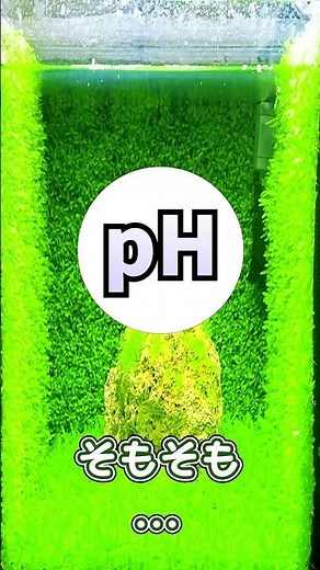 【アクアリウムあるある】「pH」←コレなんて読む？読み方で年代がバレる説 #Shorts