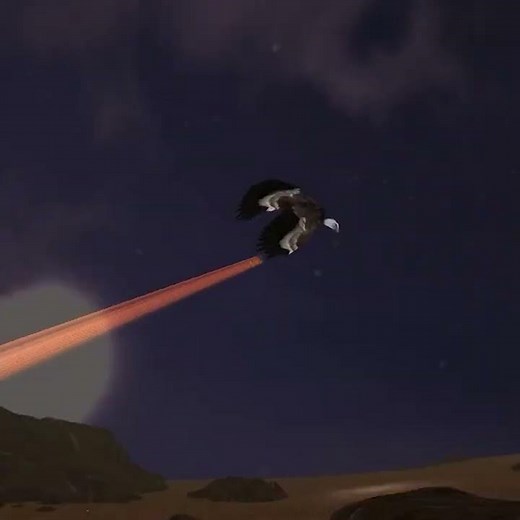 Jungle Deer Simulator Hunting Games