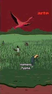 Ein Feind, der stärker ist als alle anderen... | ARTE #feurat #mauretanien