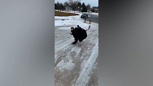 Funny Fails On Ice