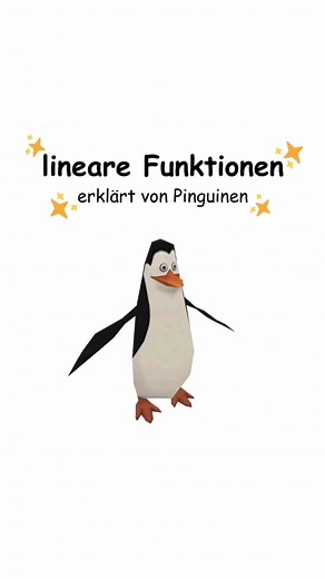 Lineare Funktionen erklärt von Pinguin