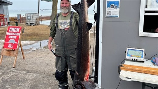 Sturgeon spearing numbers lower on day 4 of 2026 season