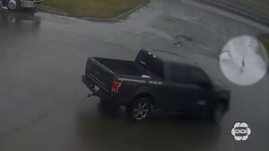 Video captures a truck running over a Canada Goose - CHCH