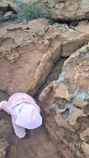 Ngavavongwe Jehovha wehondo | Isheunesu Magiga Nyoka's