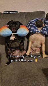 Another failed singing audition from our dearest mother, who think she can sing 😵‍💫 #karaoketime #singingchallenge #ohno #makeitstop #pug | Kiki Thepugster