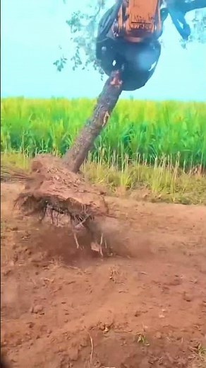 Tree plantation biggest machine in China / plantation, your plant in a minute