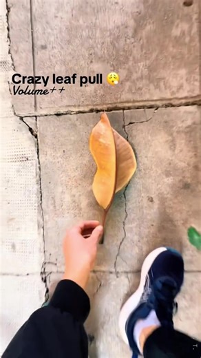 Engaging Crazy ASMR Sounds for Relaxation