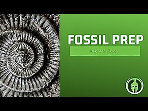 Fossil Prep Tips for Beginners | Engraver (Dremel 290)