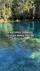 4K views · 43 reactions | Spring is just around the corner! Save this post for your next Florida adventure so you have a comprehensive list to some of Florida's finest springs ☀️ | Get Up And Go Kayaking | Facebook
