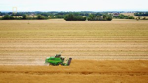 46K views · 507 reactions | Bornholm jest najbardziej słonecznym miejscem w Danii. Późną wiosną zamienia się w piękną żółtą wyspę. Wszystko przez porastające ją pola rzepaku. | National Geographic | Facebook